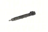 Geprüfter Injektor Common Rail DELPHI CRI A6510702887 MERCEDES-BENZ SLK 250 CDI / d 150kW