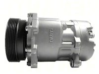 Klimakompressor DELPHI TSP0155060 FORD ESCORT V Kombi 1.8 D 44kW